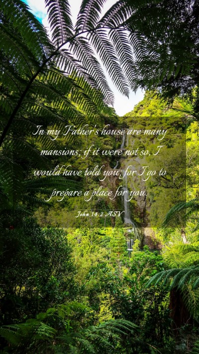 Picture 03 - John 14:2 ASV Mobile Phone Wallpaper - In my Father's house are many mansions; if it - Mobile Bible Verse Wallpaper