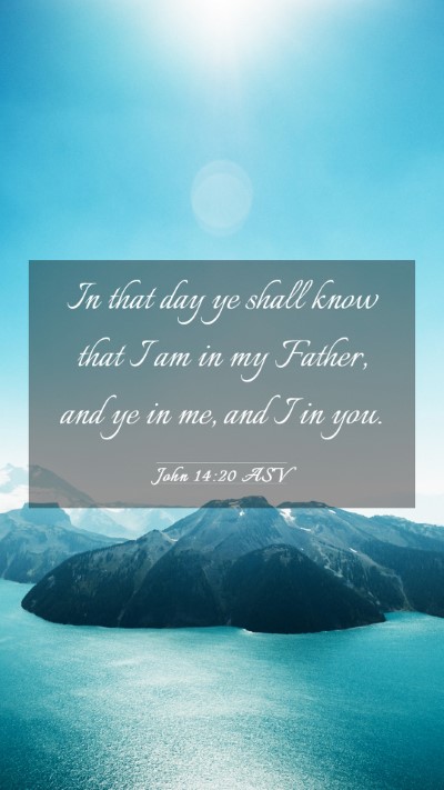 Picture 03 - John 14:20 ASV Mobile Phone Wallpaper - In that day ye shall know that I am in my Father, - Mobile Bible Verse Wallpaper