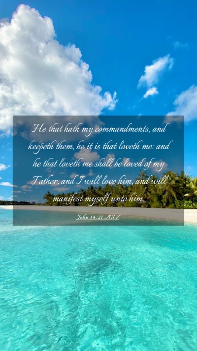 Picture 03 - John 14:21 ASV Mobile Phone Wallpaper - He that hath my commandments, and keepeth them, - Mobile Bible Verse Wallpaper