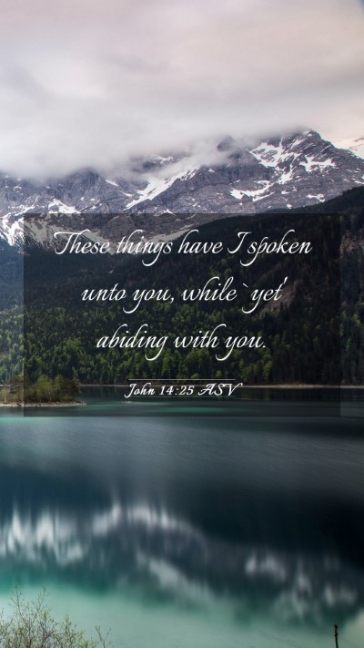 Picture 03 - John 14:25 ASV Mobile Phone Wallpaper - These things have I spoken unto you, while `yet' - Mobile Bible Verse Wallpaper