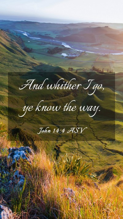Picture 03 - John 14:4 ASV Mobile Phone Wallpaper - And whither I go, ye know the - Mobile Bible Verse Wallpaper