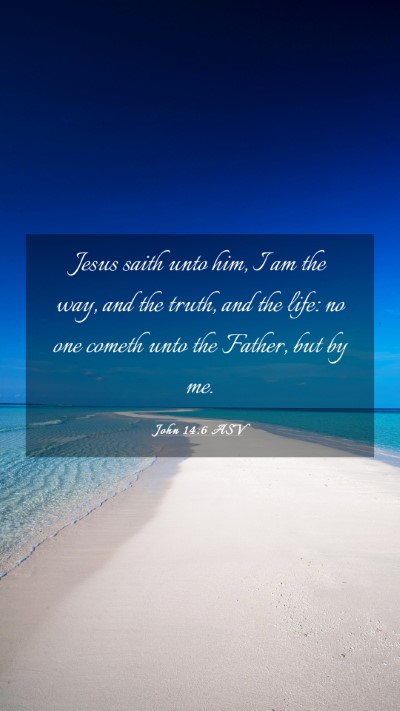 Picture 03 - John 14:6 ASV Mobile Phone Wallpaper - Jesus saith unto him, I am the way, and the - Mobile Bible Verse Wallpaper