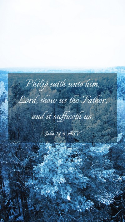 Picture 03 - John 14:8 ASV Mobile Phone Wallpaper - Philip saith unto him, Lord, show us the Father, - Mobile Bible Verse Wallpaper