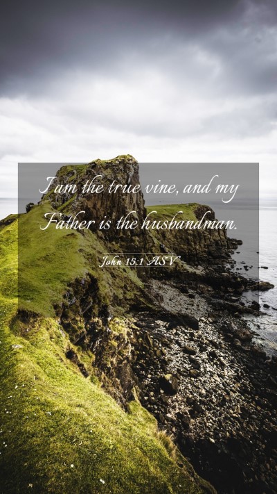 Picture 03 - John 15:1 ASV Mobile Phone Wallpaper - I am the true vine, and my Father is the - Mobile Bible Verse Wallpaper