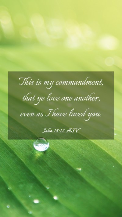 Picture 03 - John 15:12 ASV Mobile Phone Wallpaper - This is my commandment, that ye love one another, - Mobile Bible Verse Wallpaper