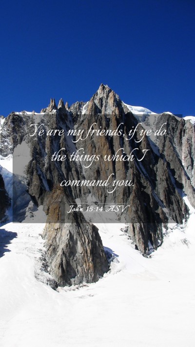 Picture 03 - John 15:14 ASV Mobile Phone Wallpaper - Ye are my friends, if ye do the things which I - Mobile Bible Verse Wallpaper