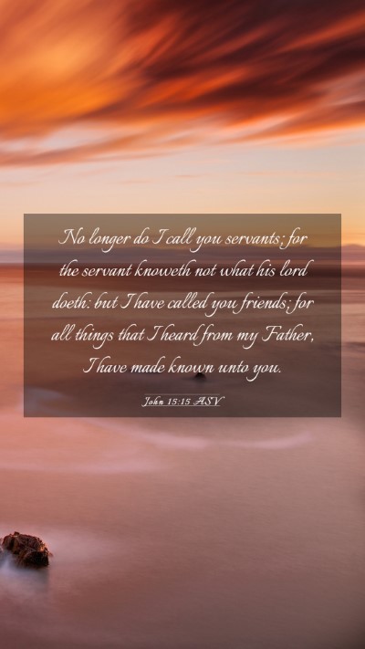 Picture 03 - John 15:15 ASV Mobile Phone Wallpaper - No longer do I call you servants; for the servant - Mobile Bible Verse Wallpaper