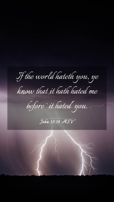 Picture 03 - John 15:18 ASV Mobile Phone Wallpaper - If the world hateth you, ye know that it hath - Mobile Bible Verse Wallpaper