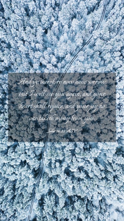 Picture 03 - John 16:22 ASV Mobile Phone Wallpaper - And ye therefore now have sorrow: but I will see - Mobile Bible Verse Wallpaper
