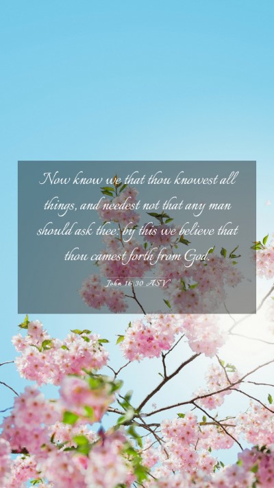 Picture 03 - John 16:30 ASV Mobile Phone Wallpaper - Now know we that thou knowest all things, and - Mobile Bible Verse Wallpaper