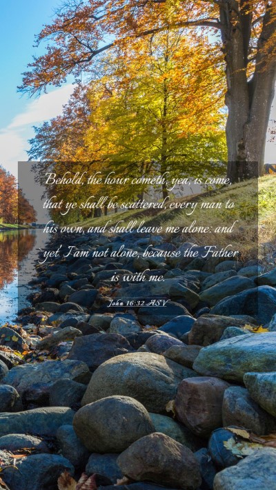 Picture 03 - John 16:32 ASV Mobile Phone Wallpaper - Behold, the hour cometh, yea, is come, that ye - Mobile Bible Verse Wallpaper