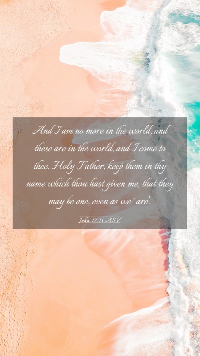 Picture 03 - John 17:11 ASV Mobile Phone Wallpaper - And I am no more in the world, and these are in - Mobile Bible Verse Wallpaper