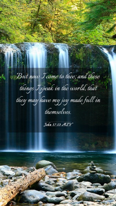 Picture 03 - John 17:13 ASV Mobile Phone Wallpaper - But now I come to thee; and these things I speak - Mobile Bible Verse Wallpaper