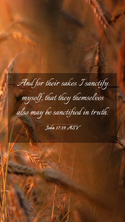 Picture 03 - John 17:19 ASV Mobile Phone Wallpaper - And for their sakes I sanctify myself, that they - Mobile Bible Verse Wallpaper