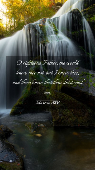 Picture 03 - John 17:25 ASV Mobile Phone Wallpaper - O righteous Father, the world knew thee not, but - Mobile Bible Verse Wallpaper