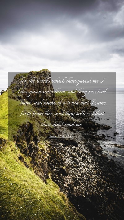 Picture 03 - John 17:8 ASV Mobile Phone Wallpaper - for the words which thou gavest me I have given - Mobile Bible Verse Wallpaper