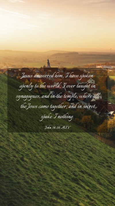 Picture 03 - John 18:20 ASV Mobile Phone Wallpaper - Jesus answered him, I have spoken openly to the - Mobile Bible Verse Wallpaper