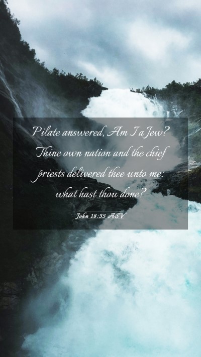 Picture 03 - John 18:35 ASV Mobile Phone Wallpaper - Pilate answered, Am I a Jew? Thine own nation and - Mobile Bible Verse Wallpaper