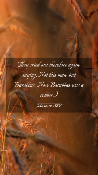 Picture 03 - John 18:40 ASV Mobile Phone Wallpaper - They cried out therefore again, saying, Not this - Mobile Bible Verse Wallpaper