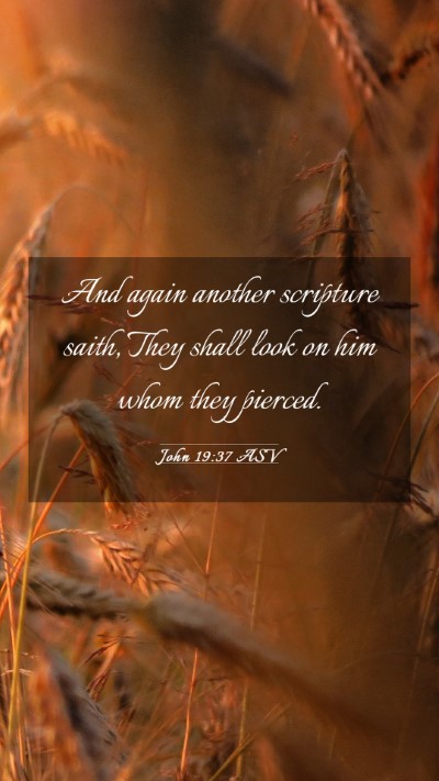 Picture 03 - John 19:37 ASV Mobile Phone Wallpaper - And again another scripture saith, They shall - Mobile Bible Verse Wallpaper