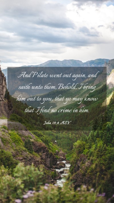 Picture 03 - John 19:4 ASV Mobile Phone Wallpaper - And Pilate went out again, and saith unto them, - Mobile Bible Verse Wallpaper