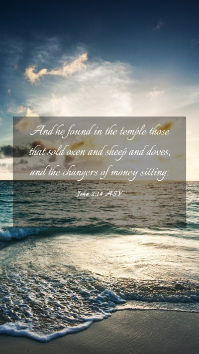 Picture 03 - John 2:14 ASV Mobile Phone Wallpaper - And he found in the temple those that sold oxen - Mobile Bible Verse Wallpaper