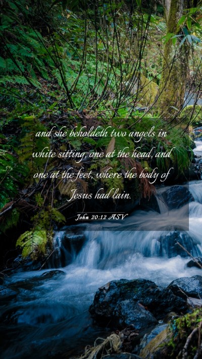 Picture 03 - John 20:12 ASV Mobile Phone Wallpaper - and she beholdeth two angels in white sitting, - Mobile Bible Verse Wallpaper