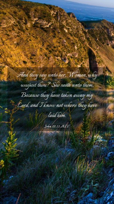Picture 03 - John 20:13 ASV Mobile Phone Wallpaper - And they say unto her, Woman, why weepest thou? - Mobile Bible Verse Wallpaper