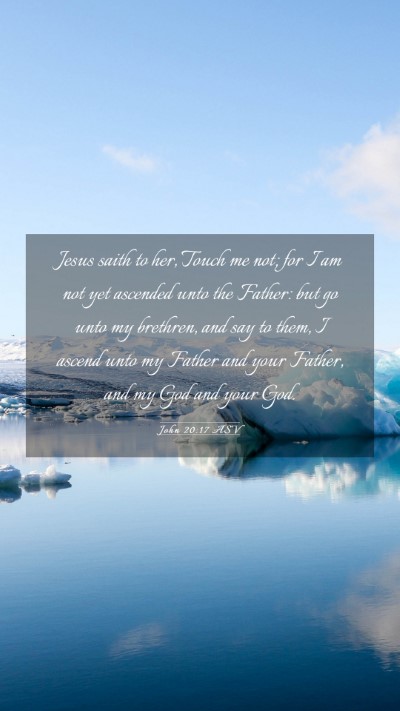 Picture 03 - John 20:17 ASV Mobile Phone Wallpaper - Jesus saith to her, Touch me not; for I am not - Mobile Bible Verse Wallpaper