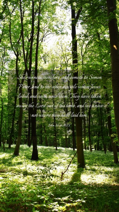 Picture 03 - John 20:2 ASV Mobile Phone Wallpaper - She runneth therefore, and cometh to Simon Peter, - Mobile Bible Verse Wallpaper