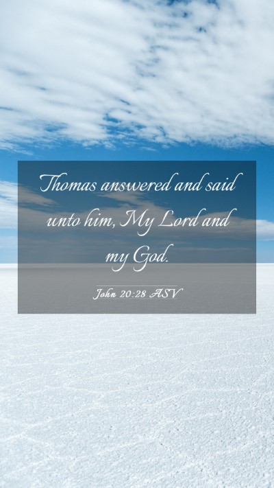 Picture 03 - John 20:28 ASV Mobile Phone Wallpaper - Thomas answered and said unto him, My Lord and my - Mobile Bible Verse Wallpaper