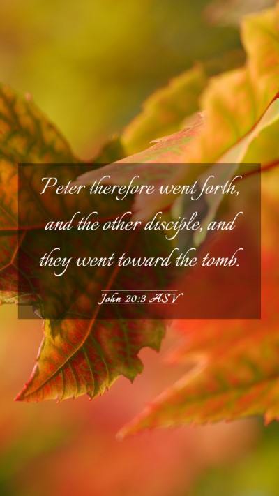 Picture 03 - John 20:3 ASV Mobile Phone Wallpaper - Peter therefore went forth, and the other - Mobile Bible Verse Wallpaper