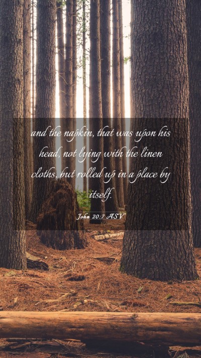 Picture 03 - John 20:7 ASV Mobile Phone Wallpaper - and the napkin, that was upon his head, not lying - Mobile Bible Verse Wallpaper