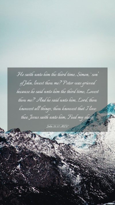 Picture 03 - John 21:17 ASV Mobile Phone Wallpaper - He saith unto him the third time, Simon, `son' of - Mobile Bible Verse Wallpaper