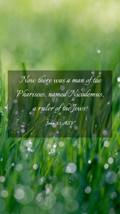 Picture 03 - John 3:1 ASV Mobile Phone Wallpaper - Now there was a man of the Pharisees, named - Mobile Bible Verse Wallpaper