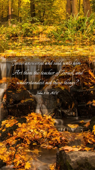 Picture 03 - John 3:10 ASV Mobile Phone Wallpaper - Jesus answered and said unto him, Art thou the - Mobile Bible Verse Wallpaper