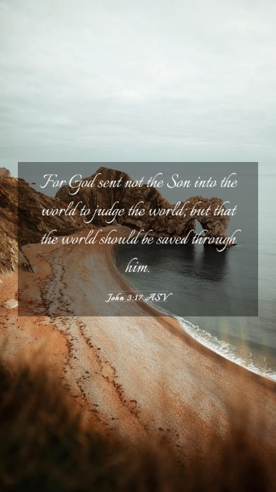 Picture 03 - John 3:17 ASV Mobile Phone Wallpaper - For God sent not the Son into the world to judge - Mobile Bible Verse Wallpaper