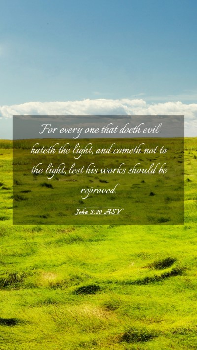 Picture 03 - John 3:20 ASV Mobile Phone Wallpaper - For every one that doeth evil hateth the light, - Mobile Bible Verse Wallpaper