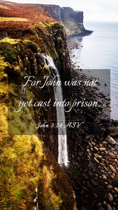 Picture 03 - John 3:24 ASV Mobile Phone Wallpaper - For John was not yet cast into - Mobile Bible Verse Wallpaper