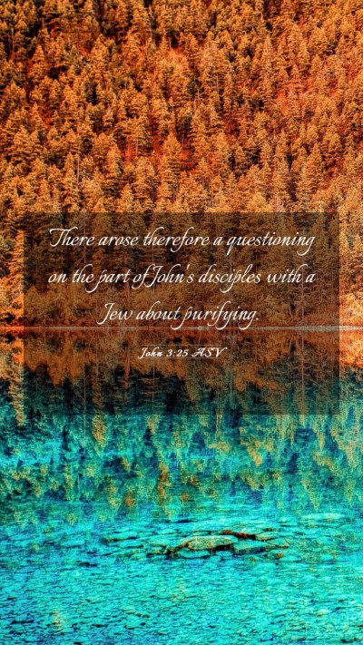 Picture 03 - John 3:25 ASV Mobile Phone Wallpaper - There arose therefore a questioning on the part - Mobile Bible Verse Wallpaper