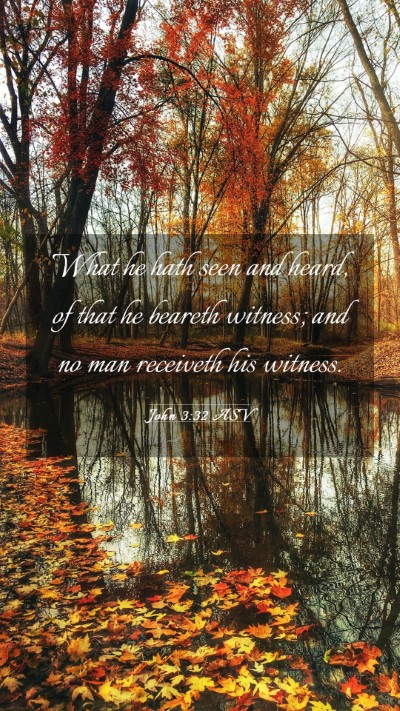 Picture 03 - John 3:32 ASV Mobile Phone Wallpaper - What he hath seen and heard, of that he beareth - Mobile Bible Verse Wallpaper