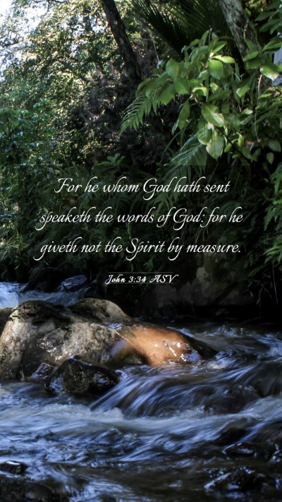 Picture 03 - John 3:34 ASV Mobile Phone Wallpaper - For he whom God hath sent speaketh the words of - Mobile Bible Verse Wallpaper