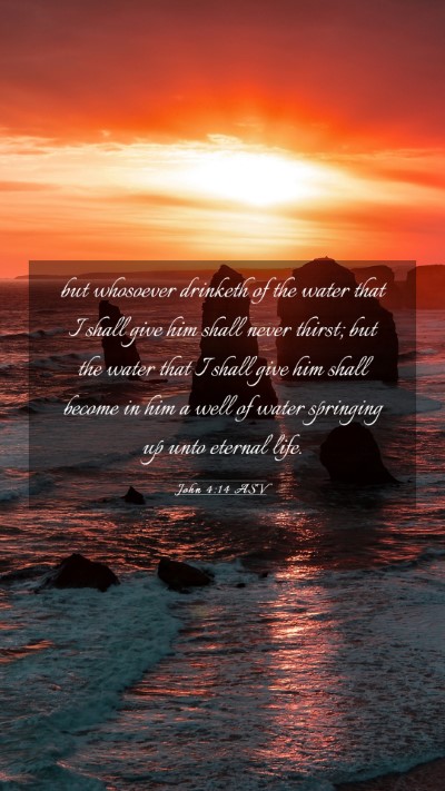 Picture 03 - John 4:14 ASV Mobile Phone Wallpaper - but whosoever drinketh of the water that I shall - Mobile Bible Verse Wallpaper