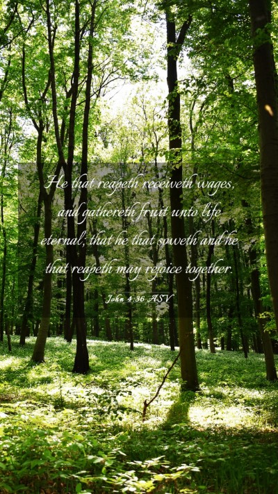 Picture 03 - John 4:36 ASV Mobile Phone Wallpaper - He that reapeth receiveth wages, and gathereth - Mobile Bible Verse Wallpaper