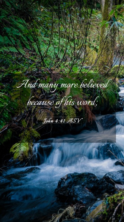 Picture 03 - John 4:41 ASV Mobile Phone Wallpaper - And many more believed because of his - Mobile Bible Verse Wallpaper