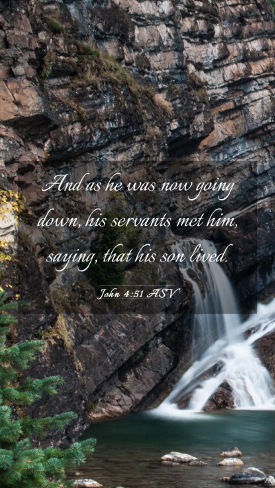 Picture 03 - John 4:51 ASV Mobile Phone Wallpaper - And as he was now going down, his servants met - Mobile Bible Verse Wallpaper