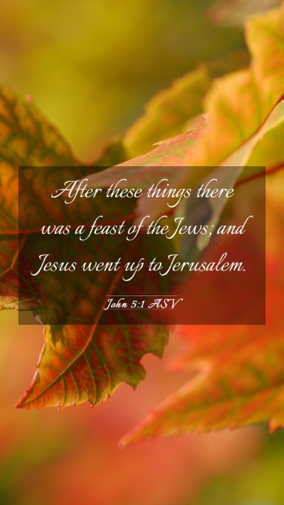 Picture 03 - John 5:1 ASV Mobile Phone Wallpaper - After these things there was a feast of the Jews; - Mobile Bible Verse Wallpaper