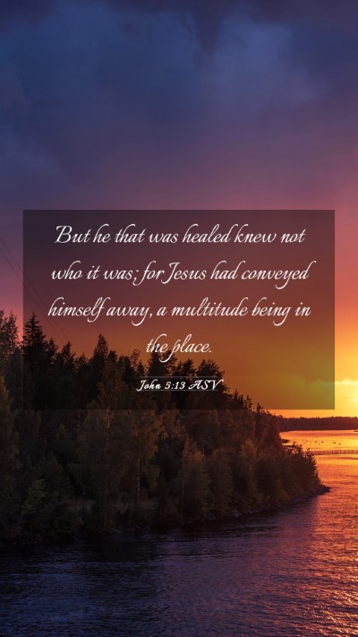 Picture 03 - John 5:13 ASV Mobile Phone Wallpaper - But he that was healed knew not who it was; for - Mobile Bible Verse Wallpaper