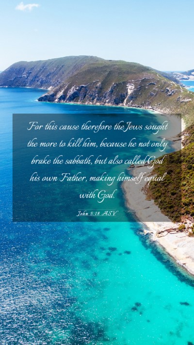 Picture 03 - John 5:18 ASV Mobile Phone Wallpaper - For this cause therefore the Jews sought the more - Mobile Bible Verse Wallpaper