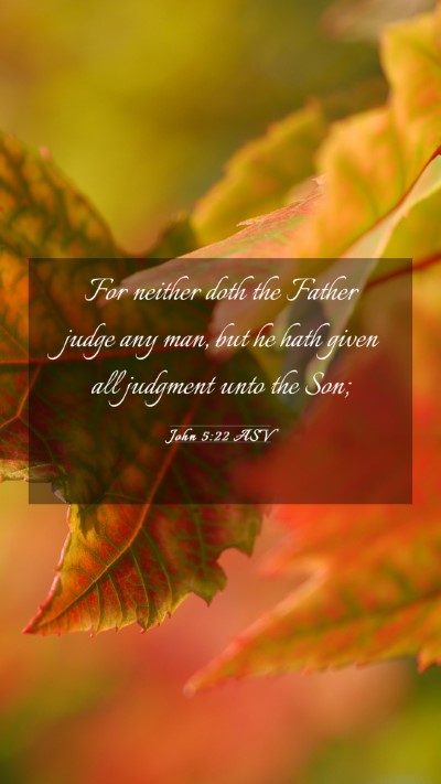 Picture 03 - John 5:22 ASV Mobile Phone Wallpaper - For neither doth the Father judge any man, but he - Mobile Bible Verse Wallpaper